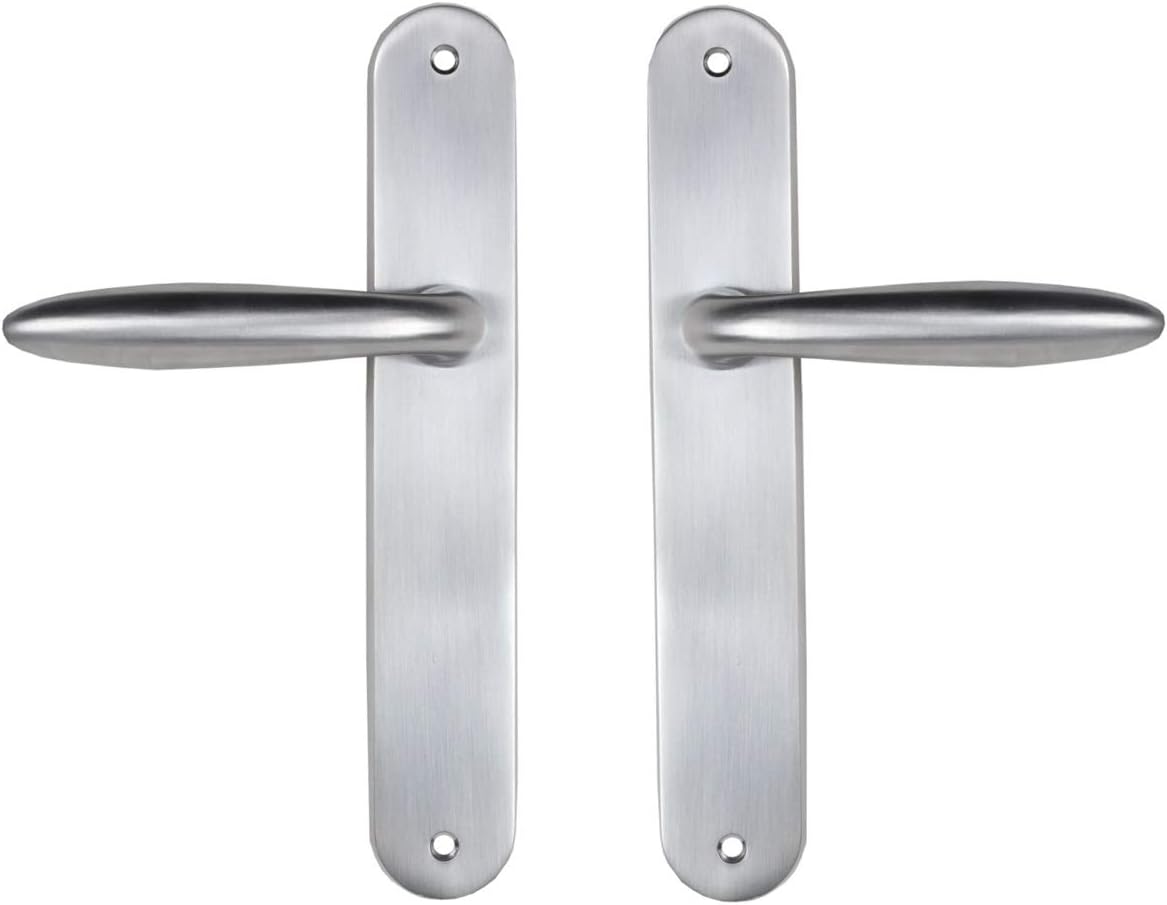  Bricard 984051 Ensemble Poignées Zamak Sur Plaque Esquisse Pour Porte D'Entrée (pour Cylindre Européen), Argent