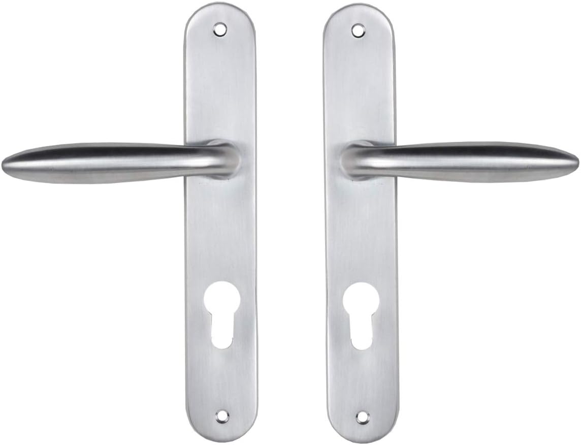  Bricard 984051 Ensemble Poignées Zamak Sur Plaque Esquisse Pour Porte D'Entrée (pour Cylindre Européen), Argent