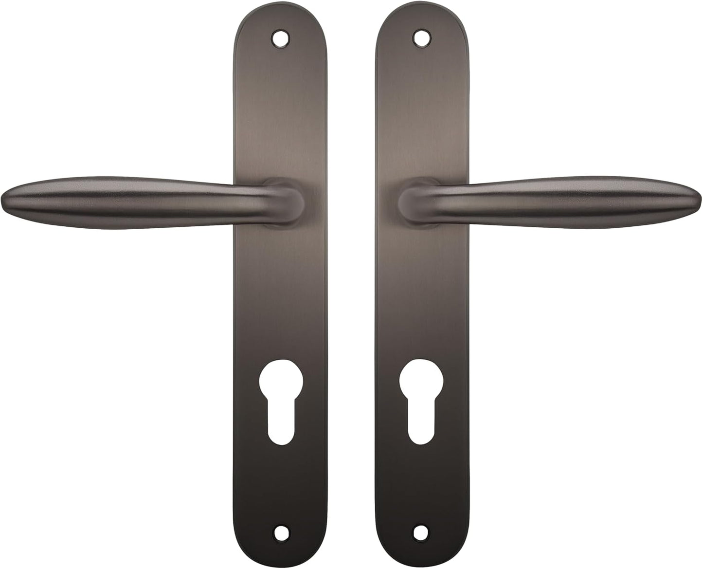  Bricard 984051 Ensemble Poignées Zamak Sur Plaque Esquisse Pour Porte D'Entrée (pour Cylindre Européen), Argent