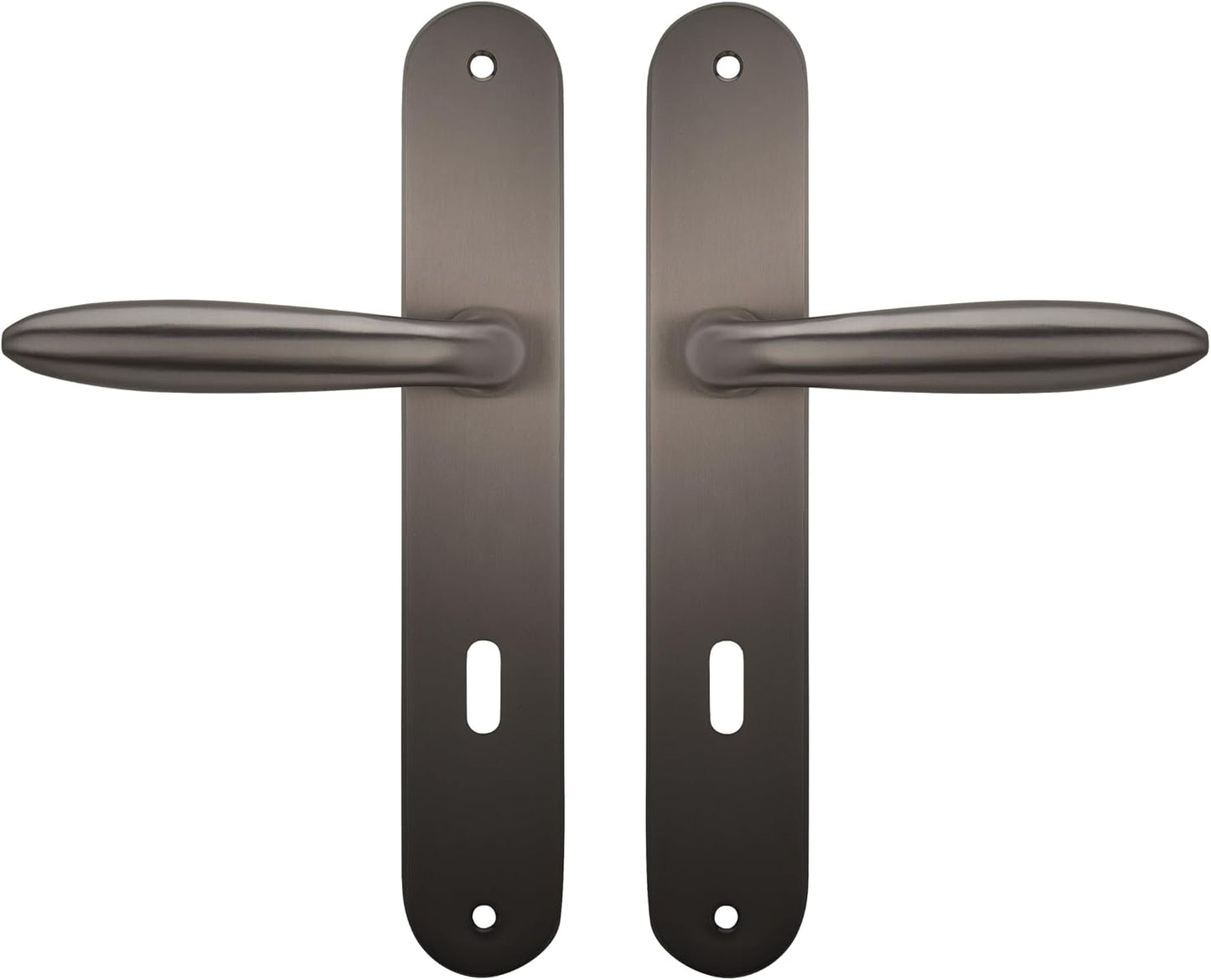  Bricard 984051 Ensemble Poignées Zamak Sur Plaque Esquisse Pour Porte D'Entrée (pour Cylindre Européen), Argent